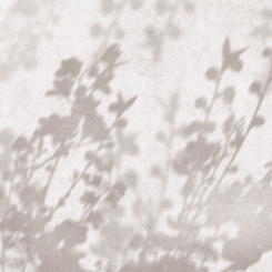 Фрески/Панно ORTOGRAF Vento