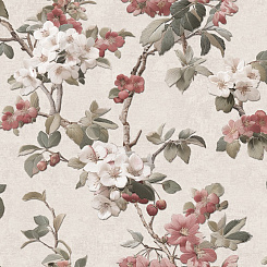 Обои Alessandro Allori Giorgio