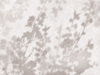 Фрески/Панно ORTOGRAF Vento