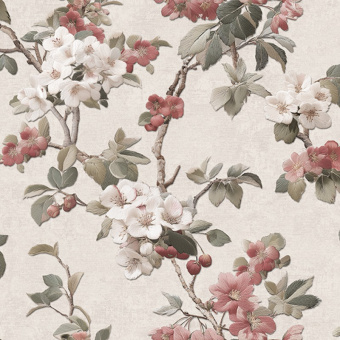 Обои Alessandro Allori Giorgio