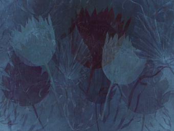 Фотообои Wall Street SERENE