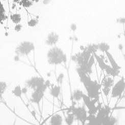 Фотообои Wall Street VETVE 22