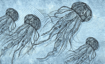  Обои Skinwall Contemporary Collection