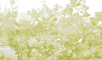 Фотообои Co.De CODE 02