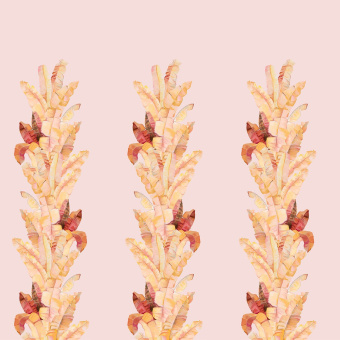 Фотообои Respace Цветы  Дольче