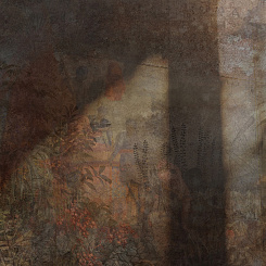  Обои Skinwall Contemporary Collection