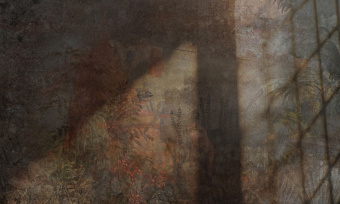  Обои Skinwall Contemporary Collection