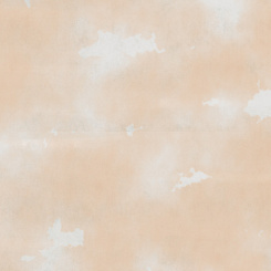 Фотообои Co.De ROOMS di PATRICIA URQUIOLA