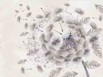 Фотообои Wall Street PERO