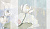 Фотообои My Fresco Природа