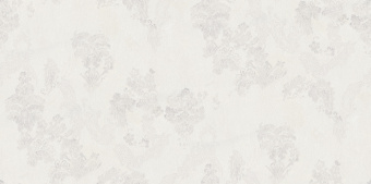 Обои Cassanie Xenia