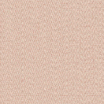 Обои Alessandro Allori Bruni