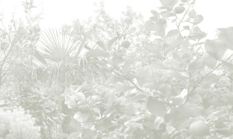 Фотообои Co.De CODE 02