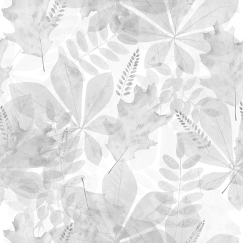 Фотообои Wall Street Fairy Foxes