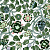 Обои Jannelli&Volpi Marimekko