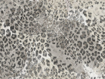 Фотообои My Fresco Животные и птицы