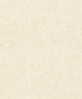 Обои Rasch Beltesto