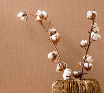 Обои Loymina Королева