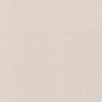 Обои Rasch Fresh Up