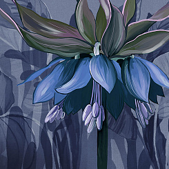 Фотообои Wall Street SOLO