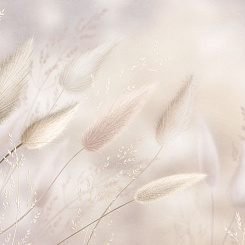 Фрески/Панно ORTOGRAF Vento