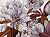 Фотообои Wall Street Giardino