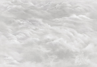 Фрески/Панно Applico