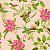 Обои Clarke & Clarke Wedgwood Botanical Wonders