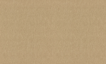 Обои Rasch Florentine Incanto