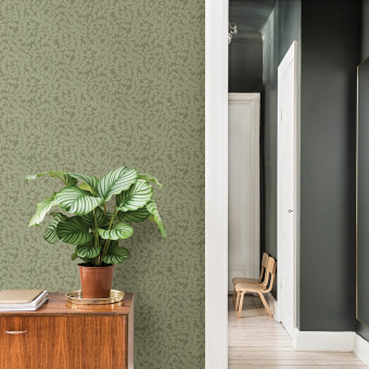 Обои A-Street Prints Botanica