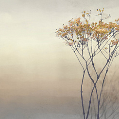 Фотообои Onprint Watercolour melody