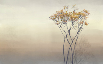 Фотообои Onprint Watercolour melody