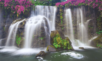 Фрески/Панно ORTOGRAF