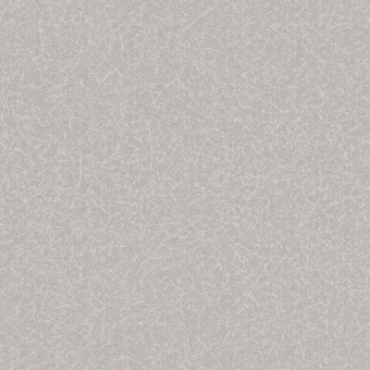 Обои Brewster Evolution 5