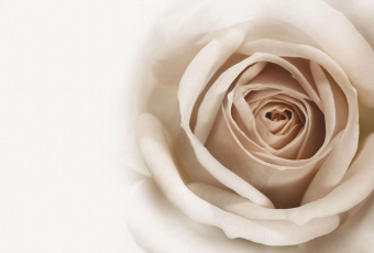 Фрески/Панно ORTOGRAF