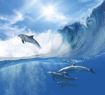 Фрески/Панно ORTOGRAF