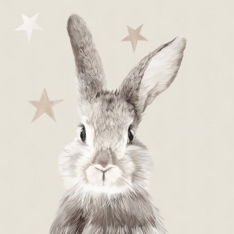 Фотообои Wall Street FAUNA ZOOM