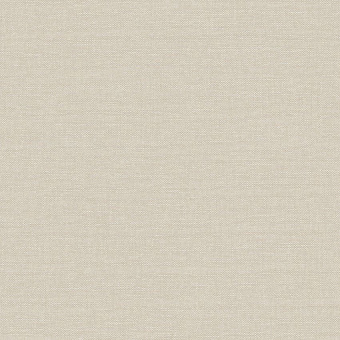 Обои Architector Parisienne