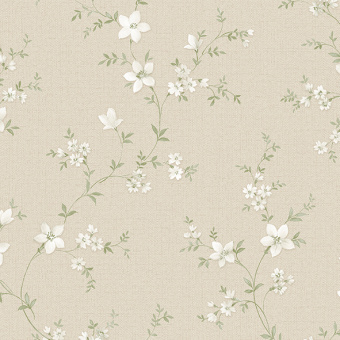 Обои Alessandro Allori Bruni