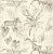 Обои Wallquest Grasslands