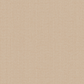 Обои Alessandro Allori Bruni