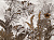 Фотообои Wall Street Zoo