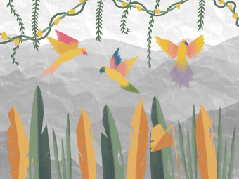 Фотообои Wall Street JUNGLE