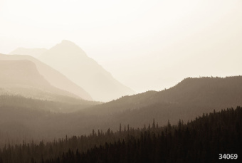 Фрески/Панно ORTOGRAF