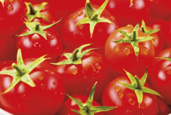 Фрески/Панно ORTOGRAF Кухня