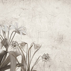  Обои Skinwall Suite Collection