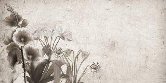  Обои Skinwall Suite Collection