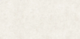 Обои Alessandro Allori Argiano