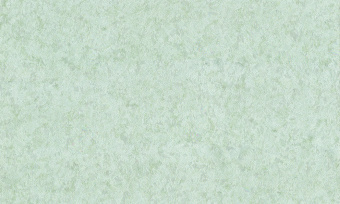 Обои Cassanie Mainz