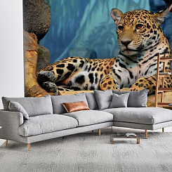 Обои Artmegahome Животные